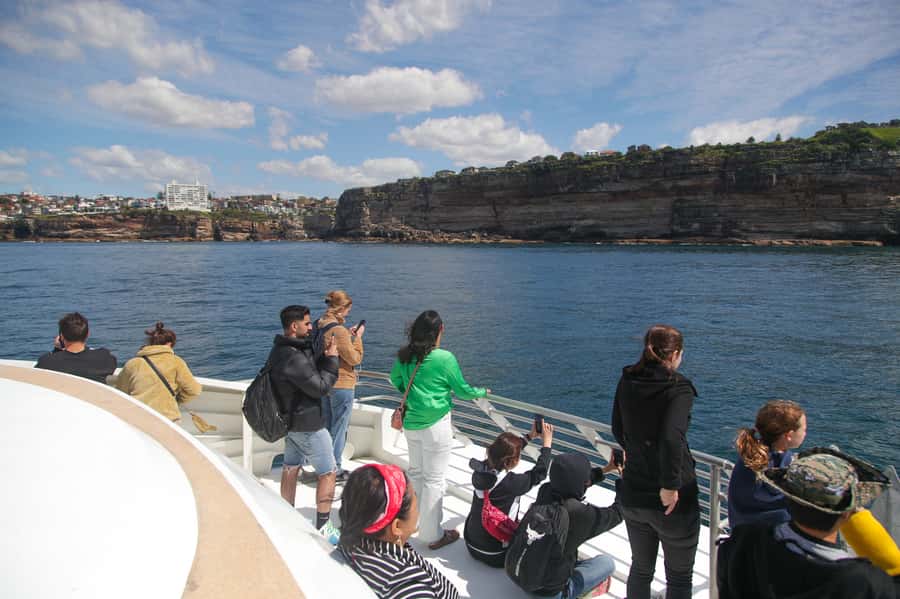 Sydney: Discovery Whale Watching Tour by Catamaran - Price and Value: Is $63 Worth It for 150 Minutes?