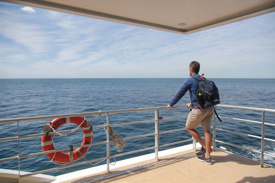 Sydney: Discovery Whale Watching Tour by Catamaran - Who This Tour Fits Best (and Who Should Pass)