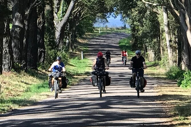 Sydney Electric Mountain Bike Guided Tour - What you do (and don’t) eat: snacks, water, and the lunch gap