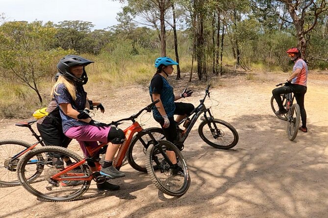 Sydney Electric Mountain Bike Guided Tour - How the guide tailors your route from green trails to steep descents