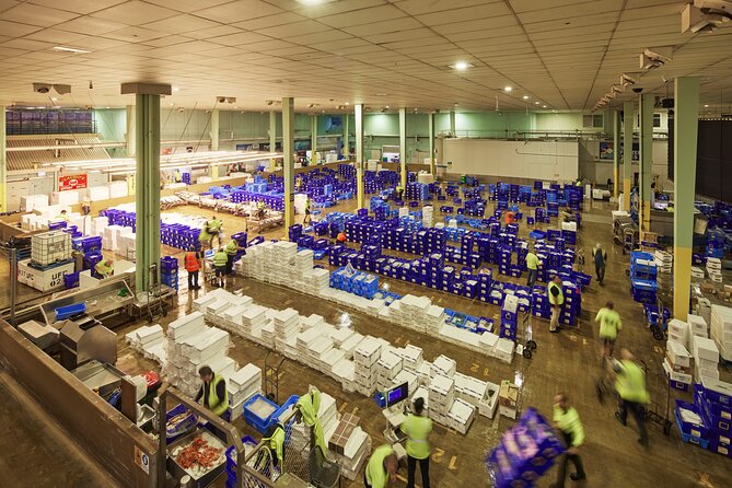 Sydney Fish Market Behind the Scenes Tour - Key Things You’ll Actually Notice on This Tour