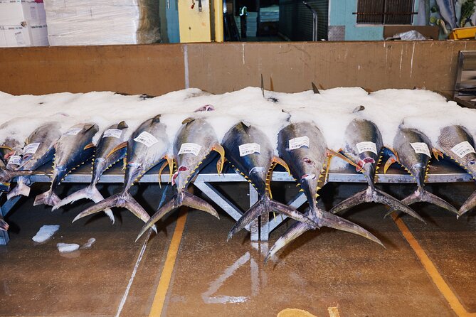 Sydney Fish Market Behind the Scenes Tour - First Step: Getting Set for the Auction Floor (Shoes, Socks, and Early Check-in)