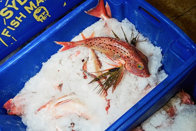 Sydney Fish Market Behind the Scenes Tour - The Dutch Auction System: How Price Drops Until the Buyer Says Yes