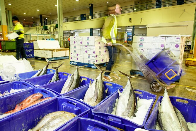 Sydney Fish Market Behind the Scenes Tour - Blue Crates and 100+ Species: Learning the Names for the Weird Ones