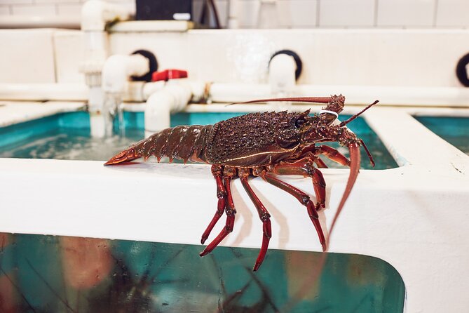 Sydney Fish Market Behind the Scenes Tour - Live Demonstrations: Tuna Filleting, Lobsters, Sushi Prep, and Oyster Shucking