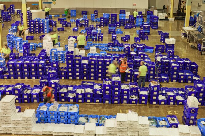 Sydney Fish Market Behind the Scenes Tour - Should You Book This Sydney Fish Market Behind-the-Scenes Tour?
