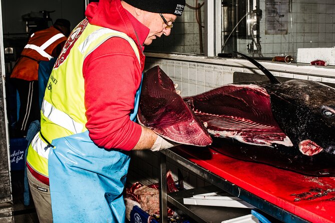 Sydney Fish Market Discovery Tour - New Market Building Design Meets Real Working Traditions