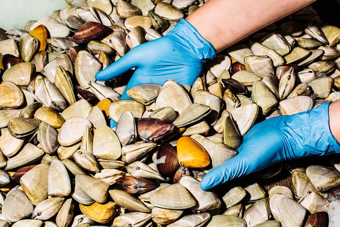 Sydney Fish Market Discovery Tour - Ocean to plate education: where seafood comes from and how it’s caught