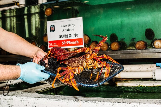 Sydney Fish Market Discovery Tour - Price and logistics: $35.86 for an educator-led 60 minutes