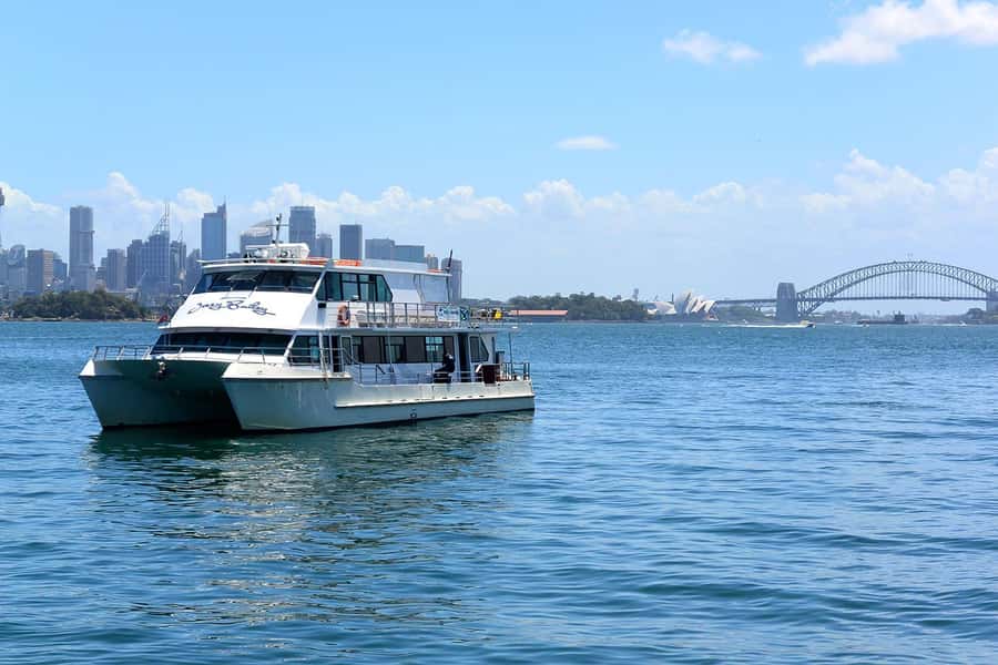 Sydney: Flexi Pass - Pick 3, 5 or 7 Experiences - Day trips and on-the-ground exploring: Blue Mountains Explorer Bus and biking