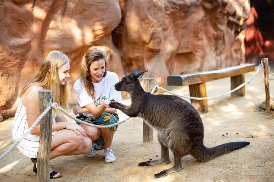 Sydney: Flexi Pass - Pick 3, 5 or 7 Experiences - Interactive games, VR, and clue-chasing in Sydney