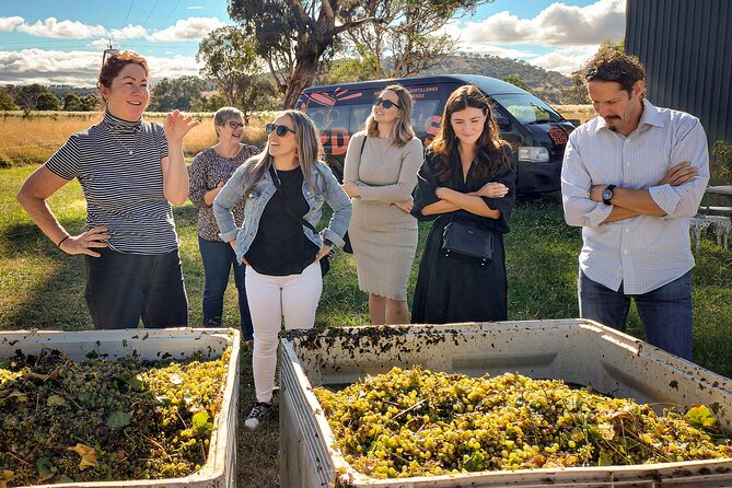 Sydney Grains and Grapes Hunter Valley Wine and Beer with Lunch - Key things I’d circle before you book