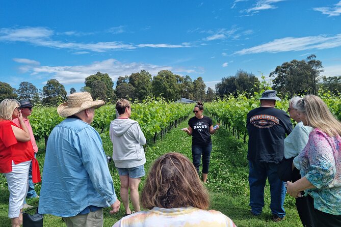 Sydney Grains and Grapes Hunter Valley Wine and Beer with Lunch - Timing, group size, and the “long day” reality