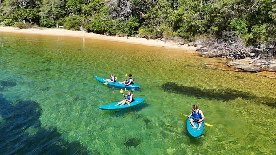 Sydney: Guided Kayak Taster Tour from Manly - Key things to love about the Manly kayak taster