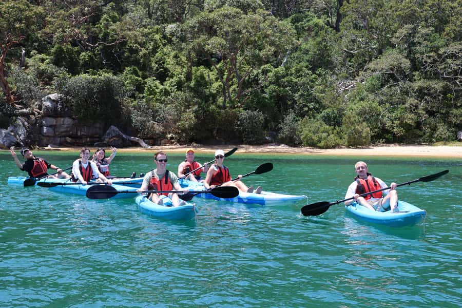 Sydney: Guided Kayak Taster Tour from Manly - Who this tour suits best (and who should skip it)