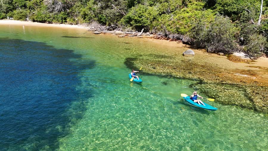 Sydney: Guided Kayak Taster Tour from Manly - Manly from the water: what makes this tour feel worth it