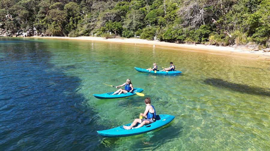 Sydney: Guided Kayak Taster Tour from Manly - Your first 90 minutes on the water: what happens, step by step