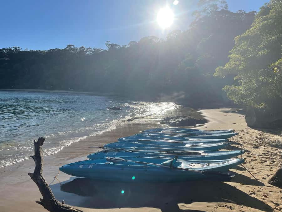 Sydney: Guided Kayak Taster Tour from Manly - The beach hour: relax, swim, visit, or paddle onward