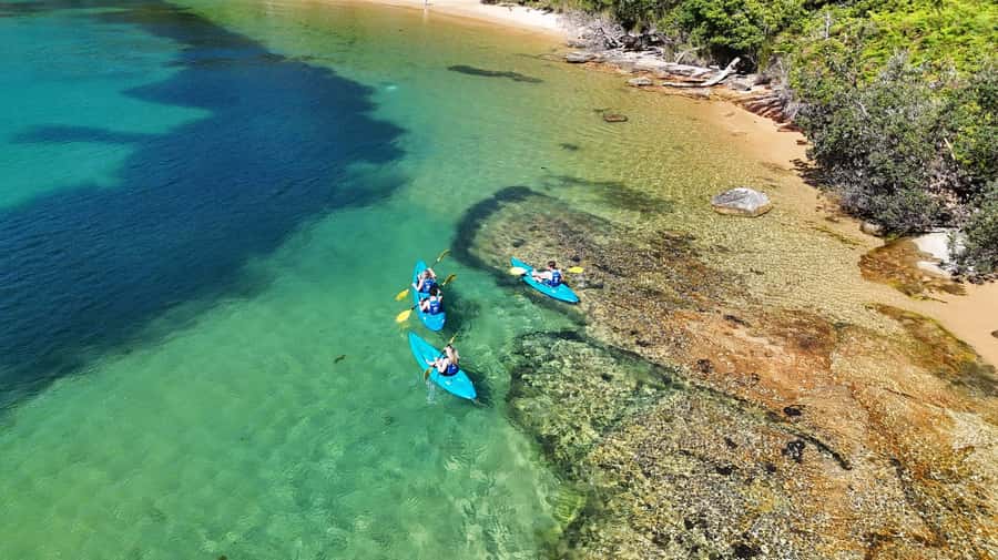 Sydney: Guided Kayak Taster Tour from Manly - Tow-home option: how you avoid the hardest part