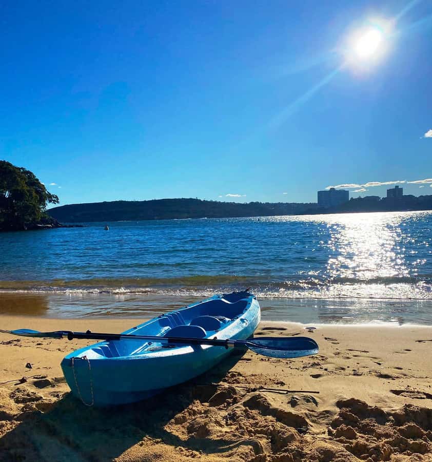 Sydney: Guided Kayak Taster Tour from Manly - What you get for $46: value that’s more than a seat on a kayak