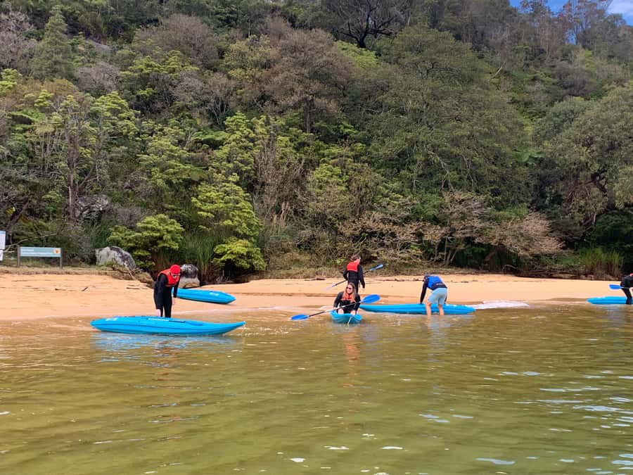 Sydney: Guided Kayak Taster Tour from Manly - The guide experience: patience is part of the product
