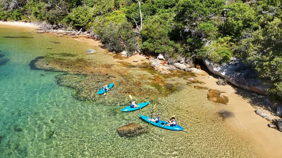 Sydney: Guided Kayak Taster Tour from Manly - Getting to Manly Sailing the easy way (ferry + short walk)