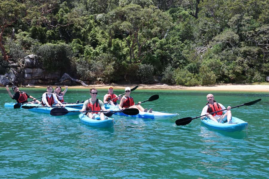 Sydney: Guided Kayak Tour of Manly Cove Beaches - Manly Cove by kayak: the “secluded beaches” part is real