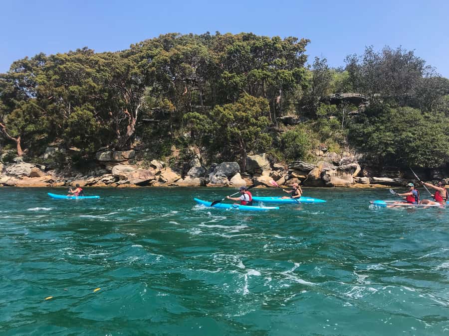 Sydney: Guided Kayak Tour of Manly Cove Beaches - The paddle route: from Manly Harbour into caves and rock formations
