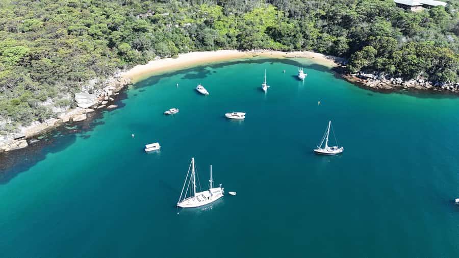 Sydney: Guided Kayak Tour of Manly Cove Beaches - Stop time for history, juice, and a proper pause on the shore