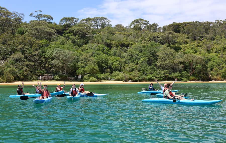 Sydney: Guided Kayak Tour of Manly Cove Beaches - Meeting at Manly Sailing: quick start, easy setup