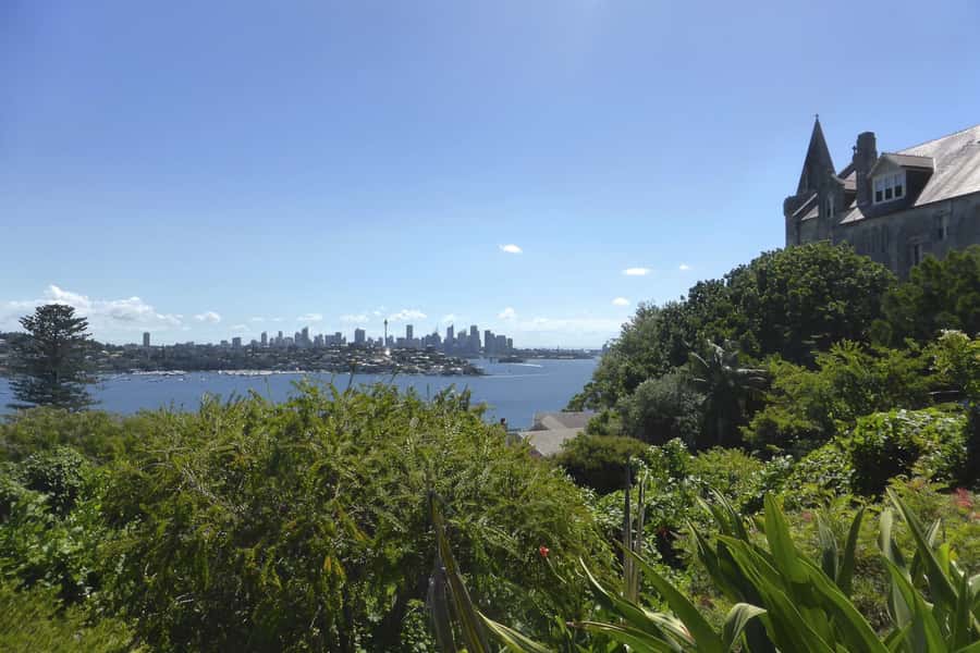 Sydney: Half-Day City Tour - Watsons Bay and Camp Cove: the harbor reaches the wild edges