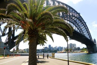 Sydney: Half-Day City Tour - The small-group setup (max 10) and what it means for your day