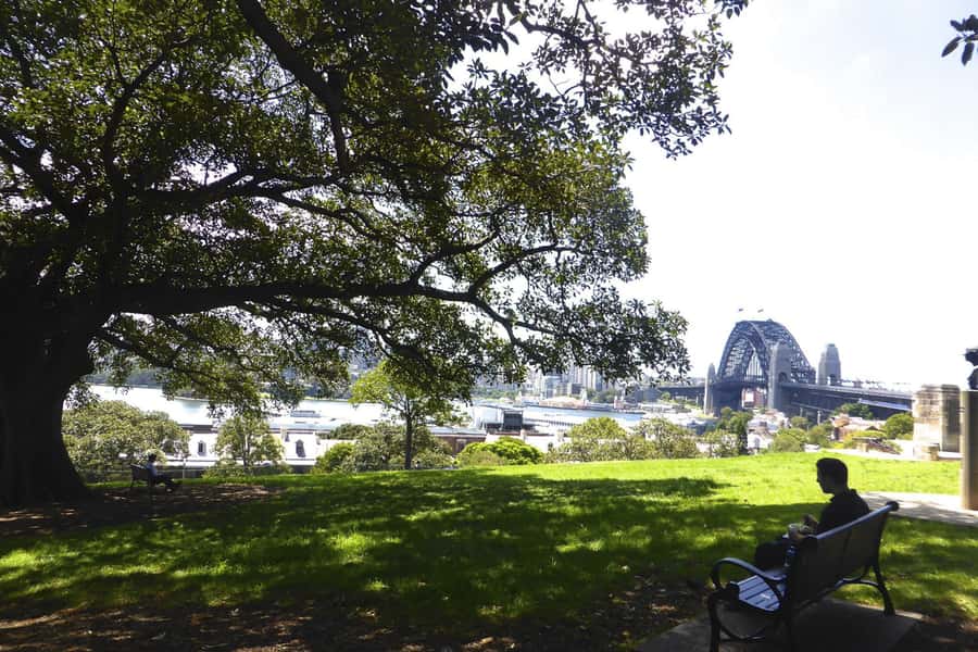 Sydney: Half-Day City Tour - Mrs Macquarie’s Chair: where the bridge-and-opera picture finally makes sense