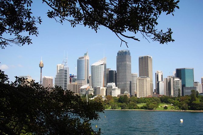 Sydney Half Day Private Tour: See Sydney Opera House and Bondi - Quick Hits Before You Go