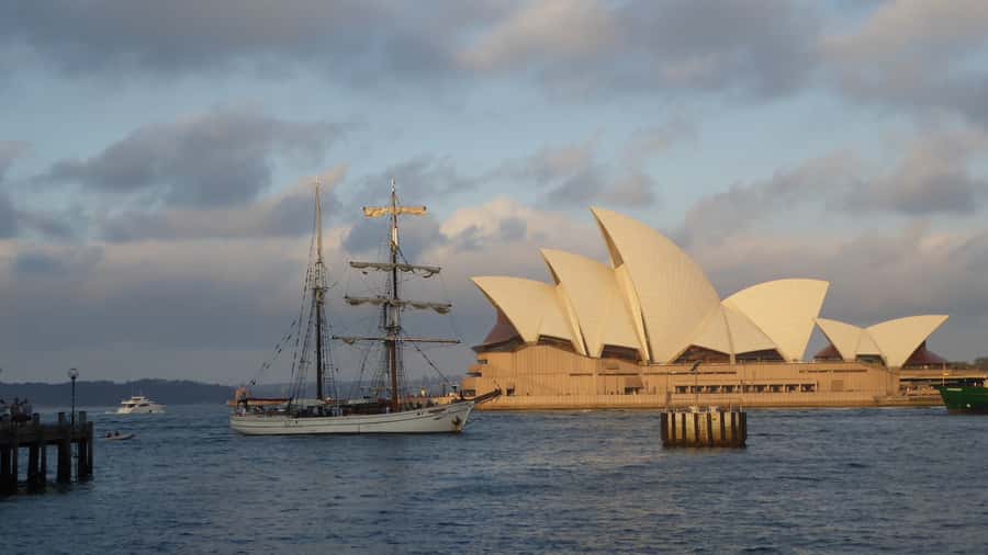 Sydney: Harbor Sunset Cruise with Dinner - Key moments that make this cruise worth your time