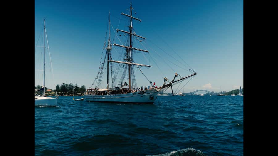 Sydney: Harbor Sunset Cruise with Dinner - The 90-minute plan: a simple evening that stays on schedule