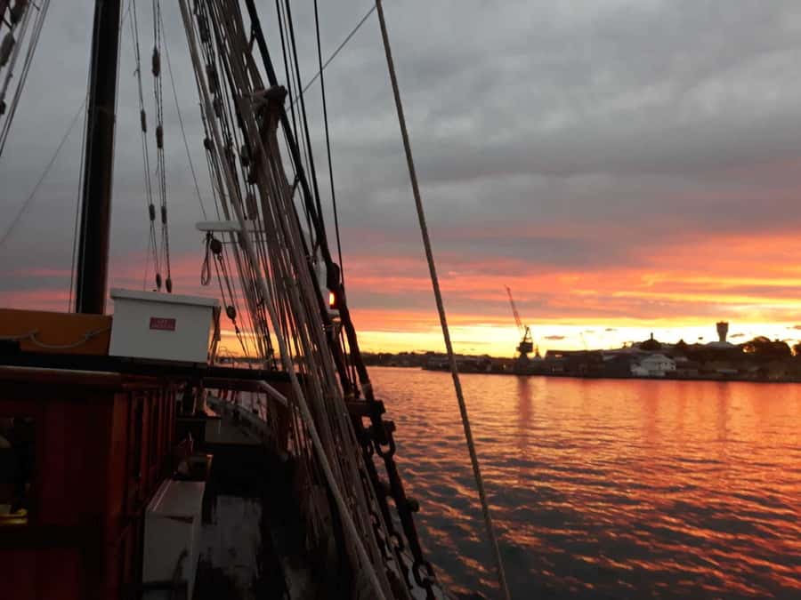 Sydney Harbor Tall Ship Wine & Canapés Evening Cruise - Key highlights worth circling