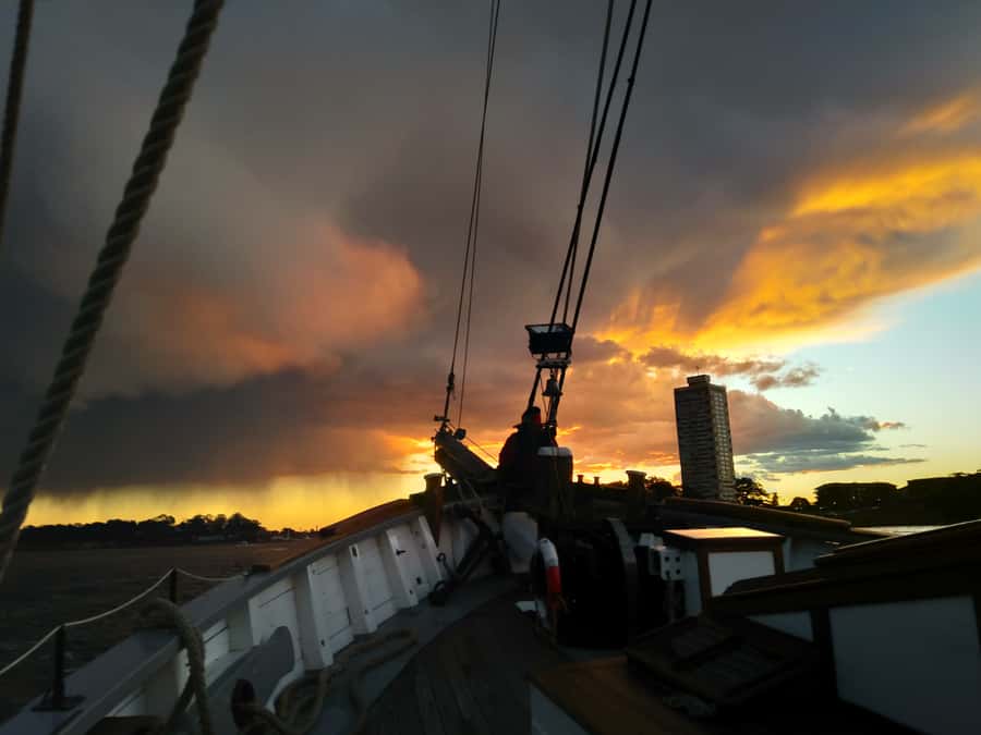 Sydney Harbor Tall Ship Wine & Canapés Evening Cruise - Canapés and unlimited wine: what you’re really paying for