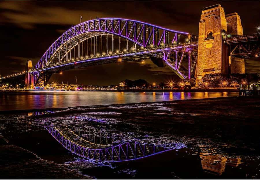 Sydney Harbour: 30 Minute Slow Jet Boat Vivid Cruise - Price and value: what $41 buys you in real terms