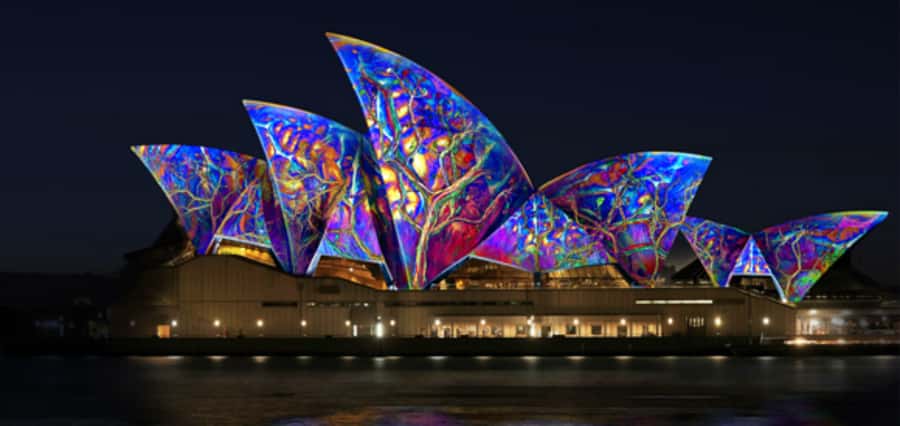 Sydney Harbour: 30 Minute Slow Jet Boat Vivid Cruise - Where you meet and what the timing really means