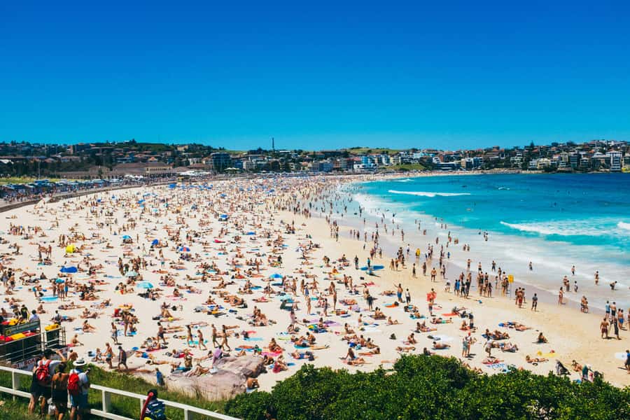 Sydney Harbour & Bondi: Morning Highlights with Breakfast - Rose Bay breakfast by the water (and why it’s more than a meal)