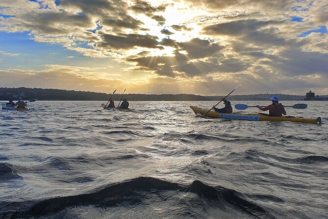 Sydney Harbour Bridge Kayak & Breakfast Tour - From the Opera House to the Harbour Bridge: learning the kayak fast