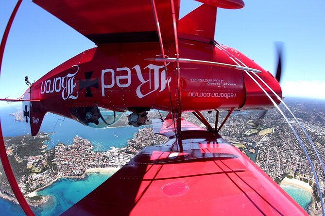 Sydney Harbour Joy Flight in the Pitts Special - Comfort, Limits, and Who Can Participate