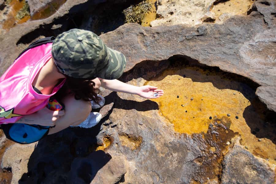 Sydney Harbour National Park 2-Hour Walking Tour - Key Highlights That Make This Walk Worth Your Time
