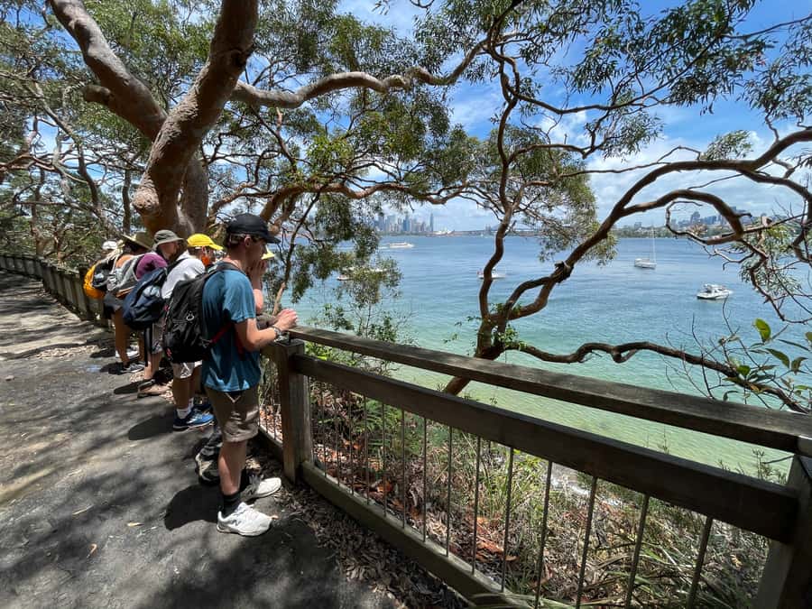 Sydney Harbour National Park 2-Hour Walking Tour - Sydney Harbour National Park in Two Hours: What You’ll Actually Get