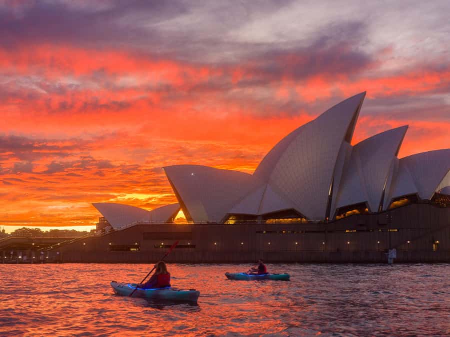 Sydney: Harbour Sunrise Kayak Tour - Guides, group size, and the vibe that keeps it fun