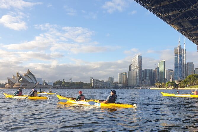 Sydney Harbour Sunset Dinner Paddle - Safety in a busy harbour: what you should expect