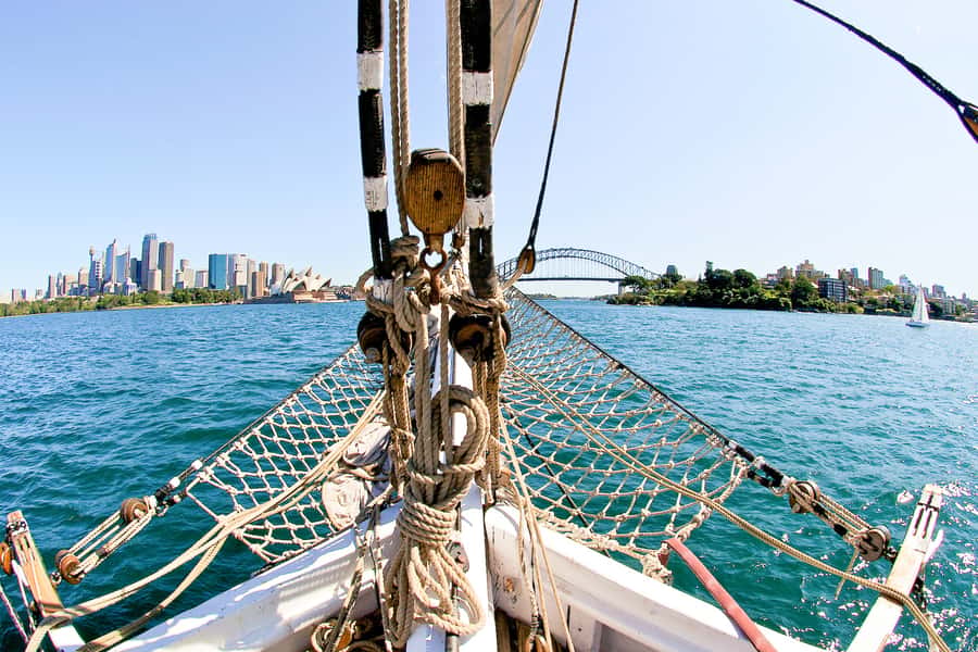 Sydney Harbour: Tall Ship Afternoon Cruise - Helping the crew: steering, sails, and rope work (the part you’ll remember)