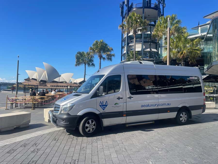 Sydney Harbour to Bondi: Small Group Half–Day Experience - Key highlights I’d plan around