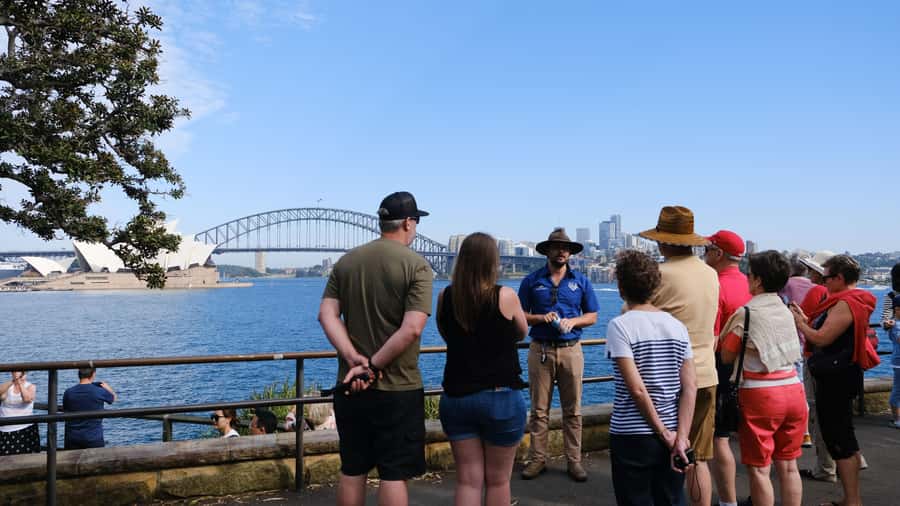 Sydney Harbour to Bondi: Small Group Half–Day Experience - Paddington’s terrace houses and Oxford Street’s shopping energy